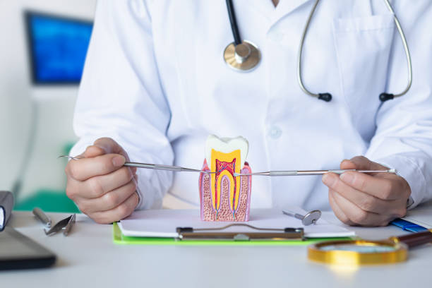 Best Emergency TMJ Treatment in Cedar Grove, FL